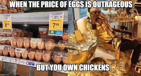 Price Of Eggs But You Got Chickens Imgflip