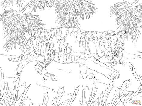 Snow Tiger Cub Coloring Page Free Printable Coloring Pages