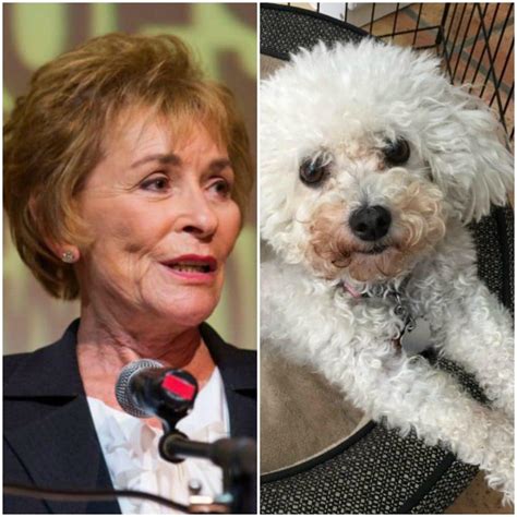 Maybe you would like to learn more about one of these? Judge Judy Lets Dog Make His Choice In Custody Dispute