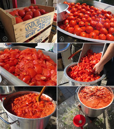 Whether you grow your own or purchase a bushel at the farmer's market, preserving tomatoes costs less than buying canning lids are held into place by ring screws. How to can tomatoes at home | Will Travel For Food