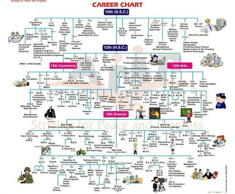 Passed 10 12 Check Career Chart For Progressive Career Options National News