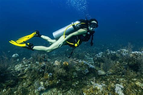 How Long Does It Take To Get Scuba Certified Koox Diving