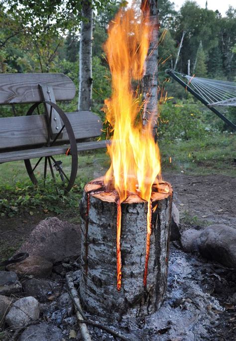 Preparing your garden for a log cabin. How to Make a Long-Burning Bonfire Log | Outdoor, Outdoor ...
