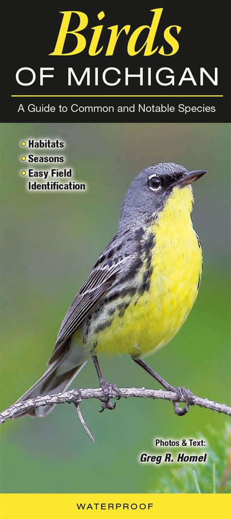 Birds Of Michigan Quick Reference Publishing