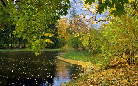 Обои осень лист Осенняя окраска листьев озеро природа Hd Ready бесплатно заставка 1366x768