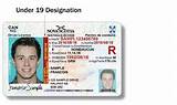 Images of Ontario Drivers License Record