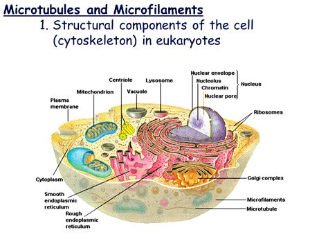 The cell membrane is semipermeable, allowing some substances to pass into the cell and. Cell Membrane Is Made Up Of Dash - Idalias Salon