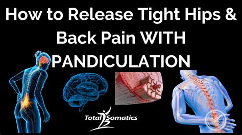 Release Tight Hips And Back Pain With Pandiculation Youtube