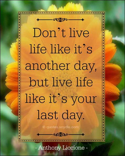 Live Your Life Quotes With Image Quotes And Sayings
