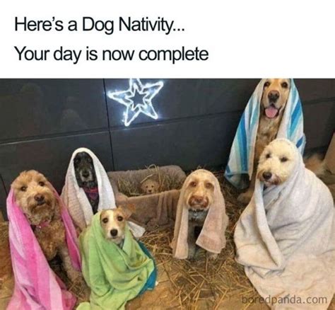30 Hilarious Christmas Memes That Will Make You Laugh
