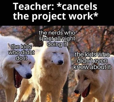 Group Projects Are Evil Laughing Wolves Know Your Meme