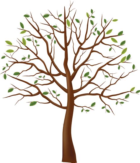 Tree Png Image Transparent Image Download Size 2968x3456px