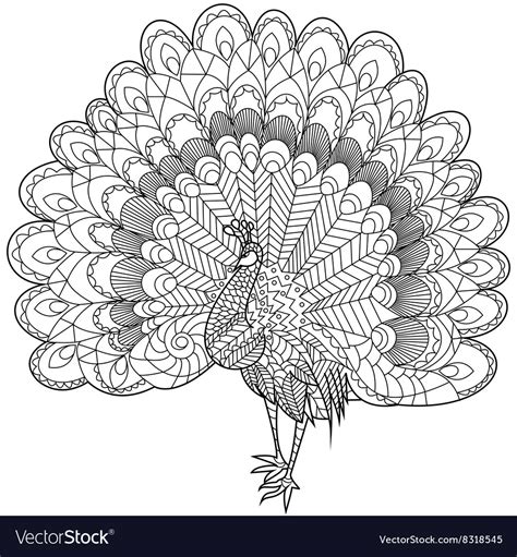 Peacock Coloring Pages For Adults
