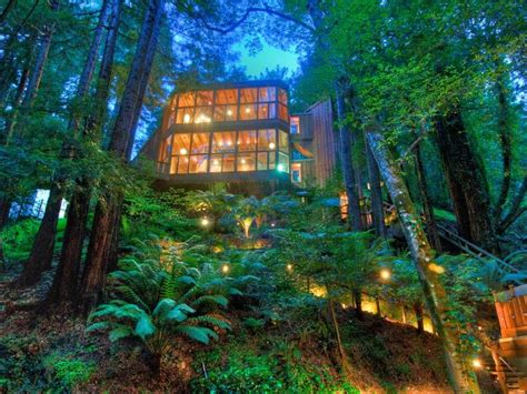 World Of Architecture Tree House In The Forest Mill Valley California