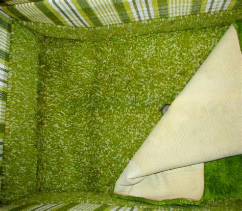 Original Shag Carpet Covered By Green Wool Carpet Since New