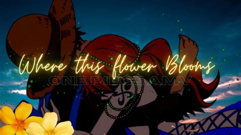 WHERE THIS FLOWER BLOOMS // One Piece AMV🌻 - YouTube