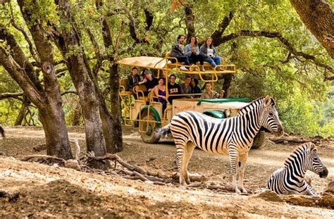 The 30 Best Zoos In The Us Travel Us News