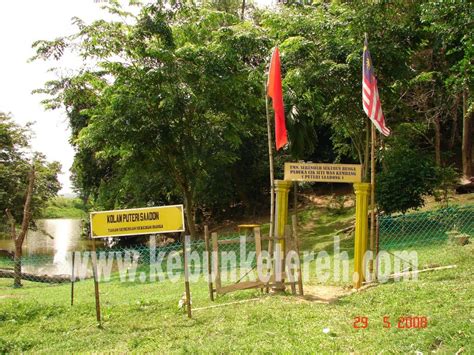 Tanah serendah sekebun bunga lirik ~ lagu rakyat n. Puteri Saadong: Galleria of Princess