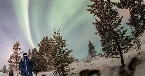Hunting Northern Lights By Husky Norwegian Travel
