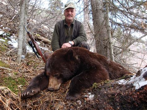 Spring Black Bear Hunt With High Caliber Adventures