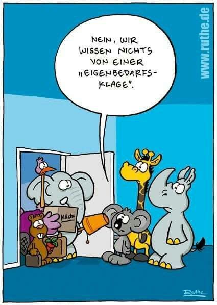 Html5 available for mobile devices. Pin von Sonja Eichberger auf Ralph Ruthe (HNO-WG) | Ruthe ...