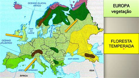 No Caderno Descreva Algumas Das Principais Formações Vegetais Da Europa