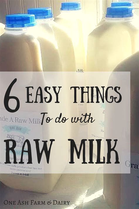 6 Easy Things To Do With Raw Milk One Ash Farm And Dairy Homestead