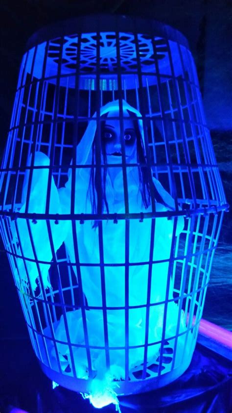 What in the world did we need that for? Black light Halloween prisoner cage decoration. The cage is mad… | Halloween outdoor decorations ...