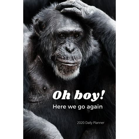 Oh Boy Here We Go Again 2020 Daily Planner Funny Monkey Meme New