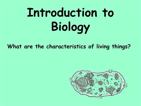 PPT - Introduction to Biology PowerPoint Presentation, free download - ID:4283675