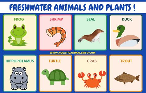 80 Freshwater Animals And Plants List With Pictures Animals Space