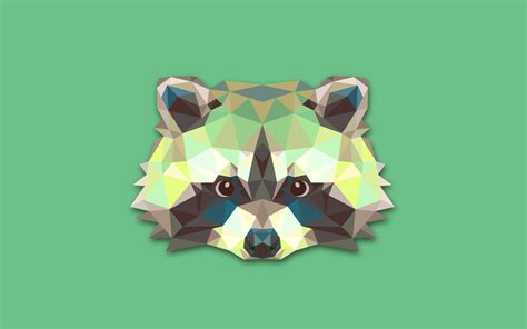 Raccoon Hd Wallpaper Background Image 2560x1600 Id587595