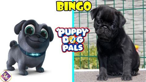Puppy Dog Pals Characters In Real Life Cute Puppies Videos