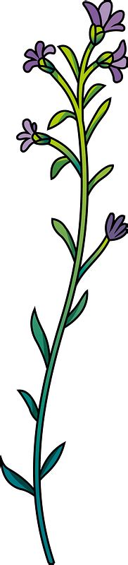 Wildflowerspng Clipart Best Clipart Best Images