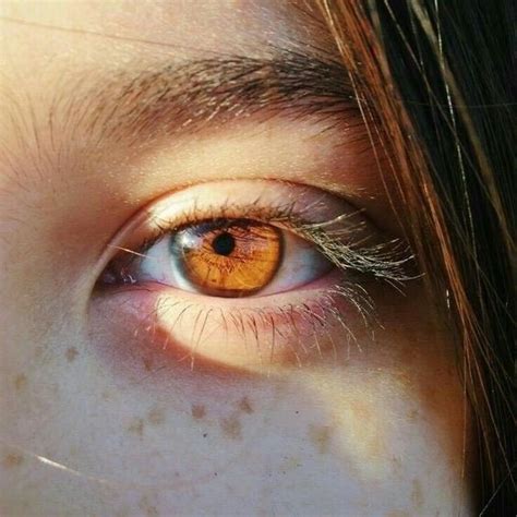 Brown Eyes In The Sun Are Like Pools Of Honey Brown Eyes Aesthetic Eye Photography Aesthetic