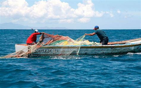 Tamaulipas Pesca Comercial Excesiva Acaba Con Peces Endémicos Grupo