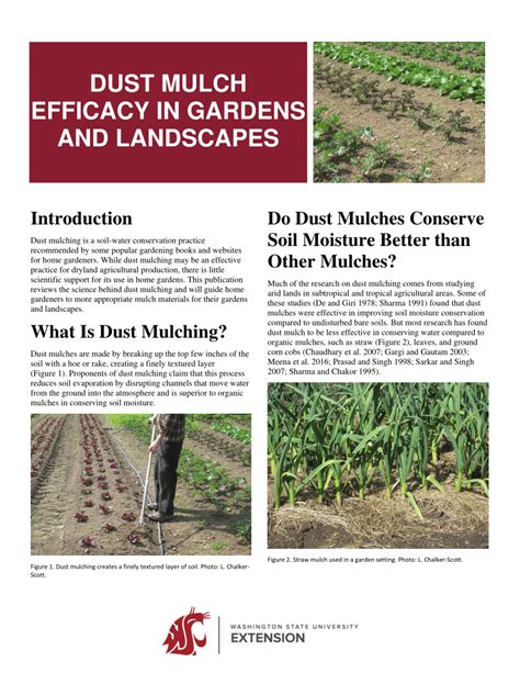 Pdf Dust Mulch Efficacy In Gardens And Landscapes Wsu Extension Fact