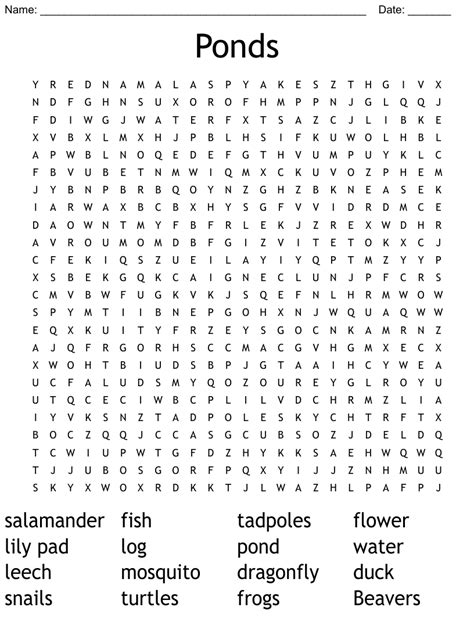 Pond Plant Crossword Clue