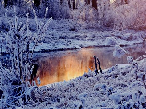 Wallpaper Forest Nature Snow Winter Ice Frost River Wilderness