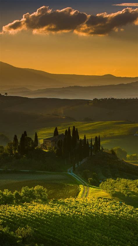 투스카니 이탈리아 마을 시골 들판 나무 녹색 1242x2688 Iphone 11 Proxs Max 배경 화면 그림