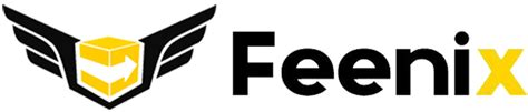 Feenix Technology Terms Condition