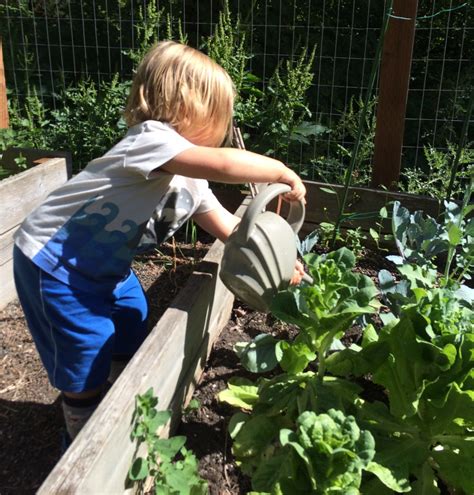 Successful Activities For A Preschool Garden