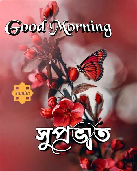 Pin By Sumita Das On সুপ্রভাত Good Morning Images Good Morning