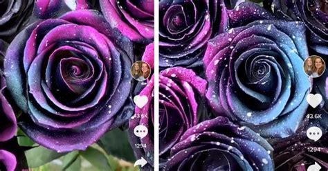 Heres How You Can Make Your Own Galaxy Roses