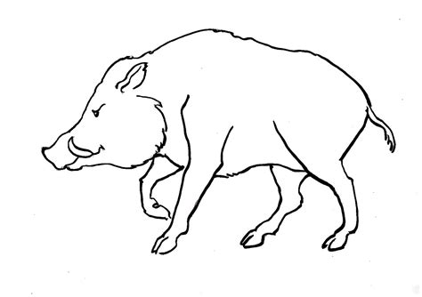 Grizzlies, pandas, teddy bears and polar bears! Boar Coloring Pages to download and print for free
