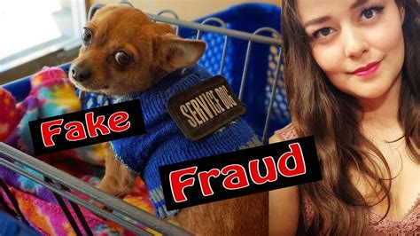 Some say they do it for the convenience of it, others say it helps them with their dating. How to Spot a Fake Service Dog - YouTube