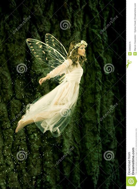 Flying Fairy Stock Photo Image 43062575
