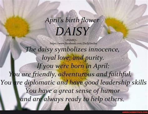 Happy Birthday April April S Birth Daisy Hetps The Daisy