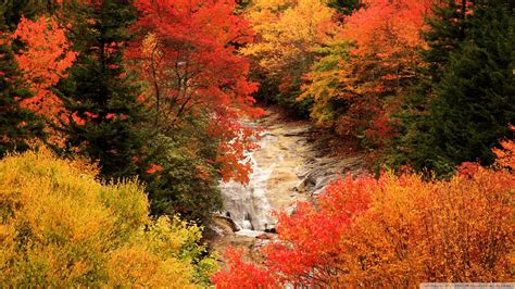 Click to see our best video content. North Carolina Wallpapers (58+ images)