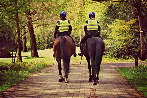 Mounted Police Horse Rider Free Photo On Pixabay